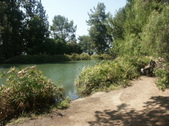 Enlarge photo 79