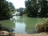 Enlarge photo 80