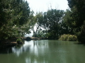 Enlarge photo 81