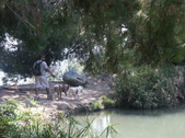 Enlarge photo 82
