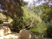 Enlarge photo 1