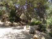 Enlarge photo 10