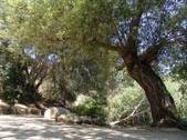 Enlarge photo 13