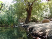 Enlarge photo 17