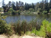 Enlarge photo 26