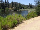 Enlarge photo 27