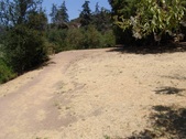 Enlarge photo 28