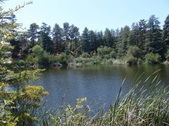 FRANKLIN CANYON PARK