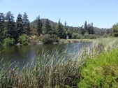 Enlarge photo 30