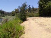 Enlarge photo 31
