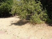 Enlarge photo 32