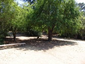 Enlarge photo 33