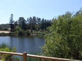 Enlarge photo 35