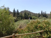 Enlarge photo 36