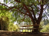 Enlarge photo 37