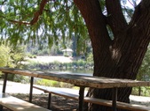 Enlarge photo 38