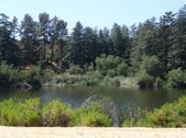 Enlarge photo 39