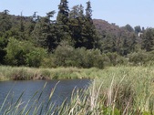 Enlarge photo 40