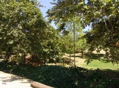 Enlarge photo 41