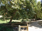 Enlarge photo 42