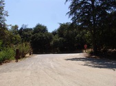 Enlarge photo 44