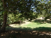 Enlarge photo 45