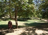 Enlarge photo 46