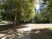 Enlarge photo 47