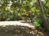 Enlarge photo 48
