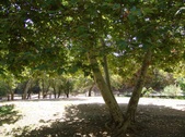 Enlarge photo 49