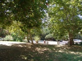 Enlarge photo 50