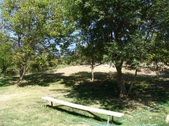 Enlarge photo 52