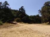 Enlarge photo 54