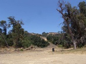 Enlarge photo 55