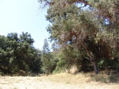 Enlarge photo 56