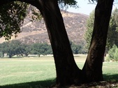 Enlarge photo 1