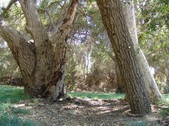 Enlarge photo 14