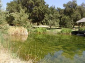 Enlarge photo 18