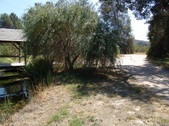 Enlarge photo 19