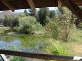 Enlarge photo 23