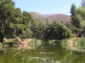 Enlarge photo 25