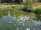 Enlarge photo 26