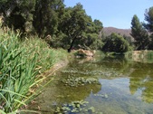 Enlarge photo 27
