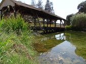 Enlarge photo 30