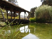 Enlarge photo 31