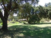 Enlarge photo 34