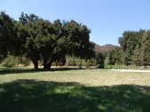 Enlarge photo 35