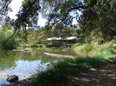 Enlarge photo 36