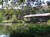 Enlarge photo 37