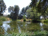 Enlarge photo 38